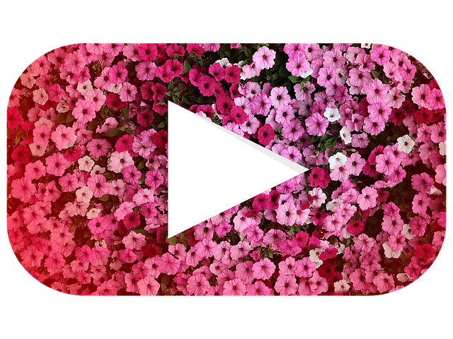 たべめぐみは結婚している？年齢や本名に高校や大学に経歴は？